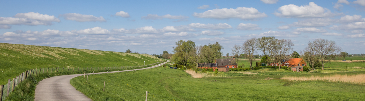 sliderbild